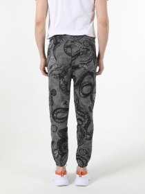 Спортивні штани Colin’s модель CL1053028ANT Фото