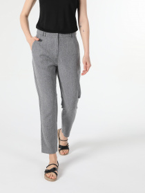 Повседневные штаны Colin’s модель CL1053044GRA Фото