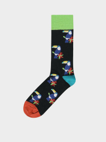 Шкарпетки та гольфи Colin’s модель CL1055350MTC Фото