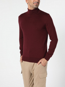 Водолазка Colin’s модель CL1023624PUM Фото