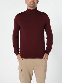 Водолазка Colin’s модель CL1023624PUM Фото