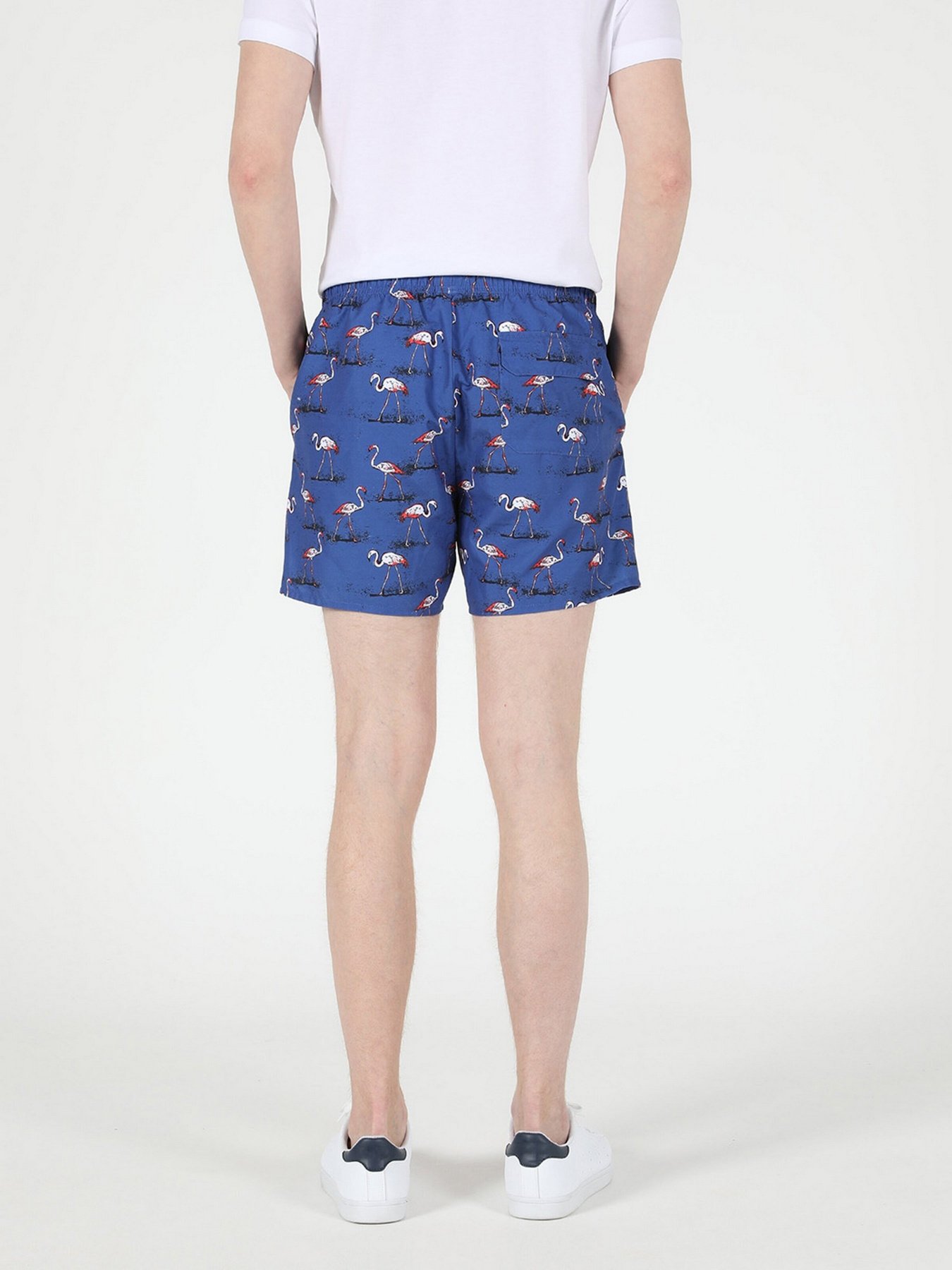 Шорты для плавания Colin’s модель CL1051029BLE Фото