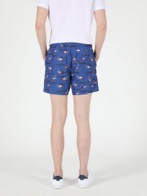 Шорты для плавания Colin’s модель CL1051029BLE Фото