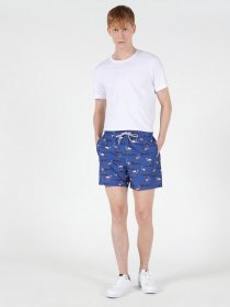 Шорты для плавания Colin’s модель CL1051029BLE Фото