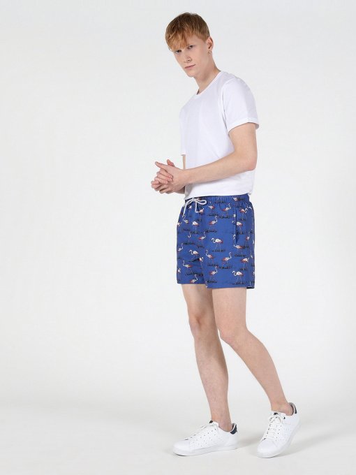 Шорты для плавания Colin’s модель CL1051029BLE Фото