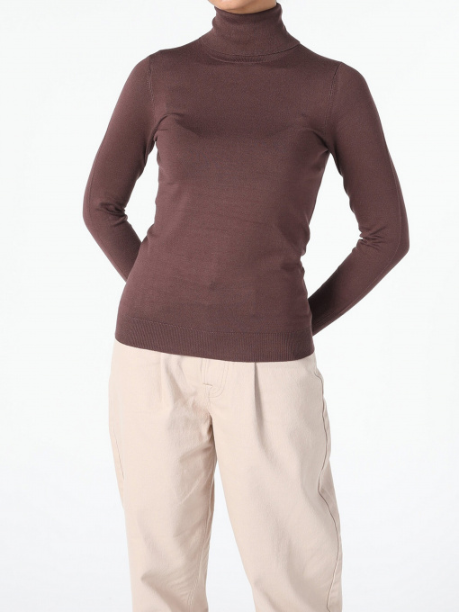 Водолазка Colin’s модель CL1051087BRW Фото