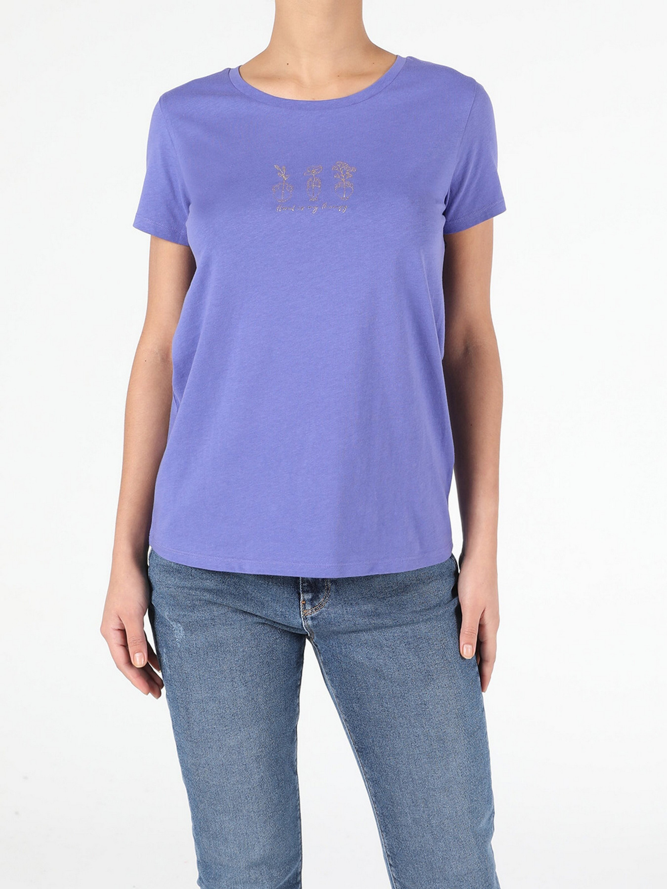 Футболка Colin’s модель CL1053349PRP Фото