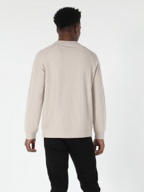 Джемпер Colin’s модель CL1057263BEI Фото