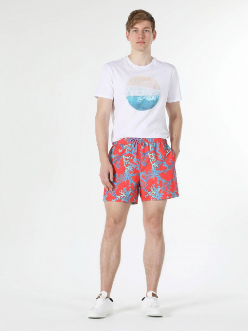 Шорты для плавания Colin’s модель CL1057956CRL Фото