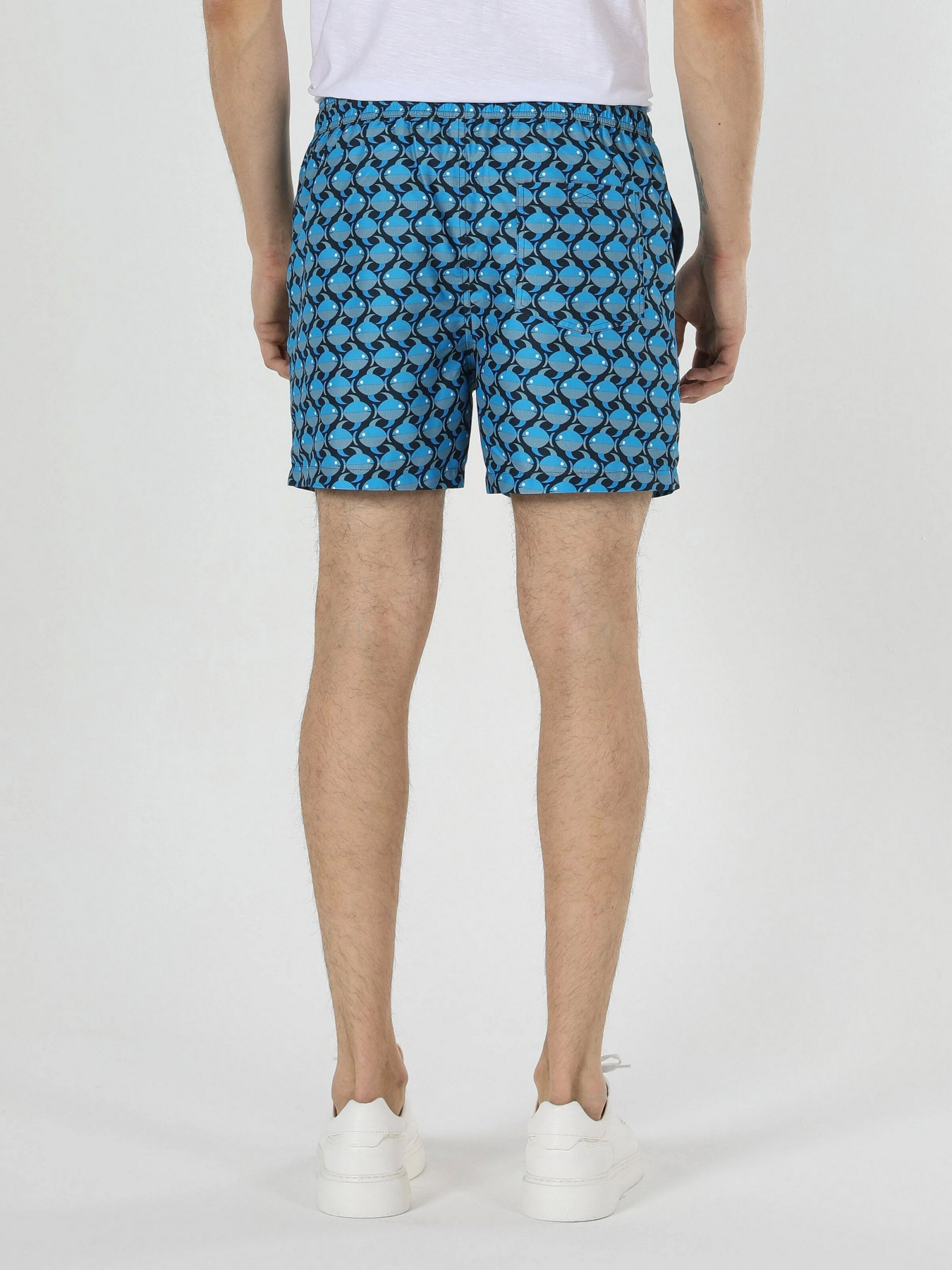 Шорты для плавания Colin’s модель CL1059244BLE Фото