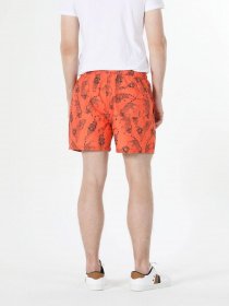 Шорты для плавания Colin’s модель CL1059379COR Фото