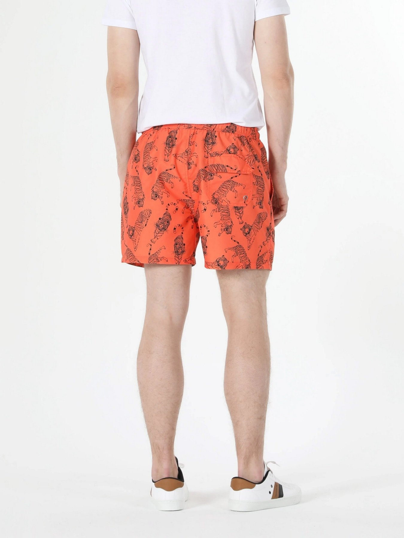 Шорти для плавання Colin’s модель CL1059379COR Фото