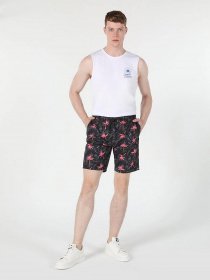 Шорты для плавания Colin’s модель CL1059587ANT Фото