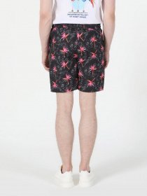 Шорти для плавання Colin’s модель CL1059587ANT Фото