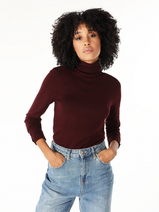 Водолазка Colin’s модель CL1051087BRD Фото