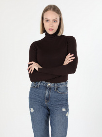 Водолазка Colin’s модель CL1051087DBR Фото