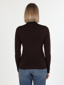 Водолазка Colin’s модель CL1051087DBR Фото