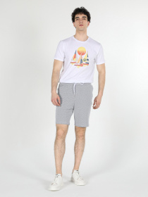 Шорты Colin’s модель CL1057989GRA Фото