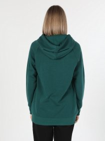 Худи Colin’s модель CL1045200PGR Фото