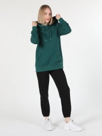 Худи Colin’s модель CL1045200PGR Фото