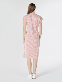 Сукня міді Colin’s модель CL1060795CRL Фото