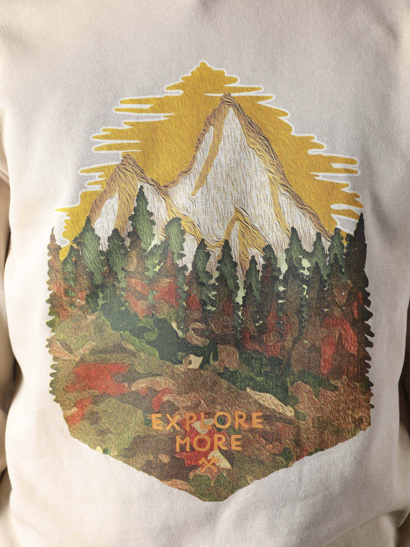 Худі Colin’s модель CL1061753BEI Фото