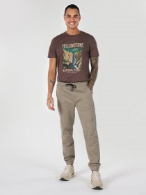 Джоггеры Colin’s модель CL1062395OLV Фото