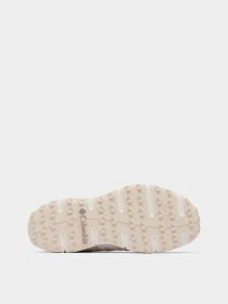 Кросівки для бігу Columbia VOYAGER FLX PCT модель 2109421-125 Фото