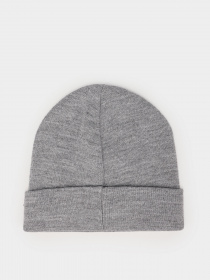 Шапка Champion BEANIE CAP Модель cha804671-NGAM Фото