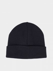 Шапка Champion BEANIE CAP модель cha804671-NNY Фото