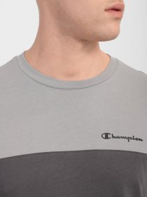 Лонгслив Champion STRIPE COLOUR BLOCK модель cha216590-NBK/EBN Фото