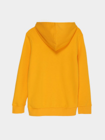 Худі Champion HOODED SWEATSHIRT модель cha305784-GLD Фото