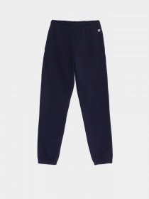 Спортивні штани Champion ELASTIC  CUFF PANTS модель cha305790-NNY Фото