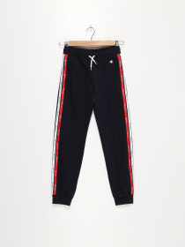 Штани спортивні Champion модель 305188_т.синій комб. Фото