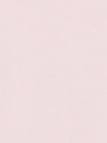 Футболки и поло Champion модель 117865-PS222 Фото