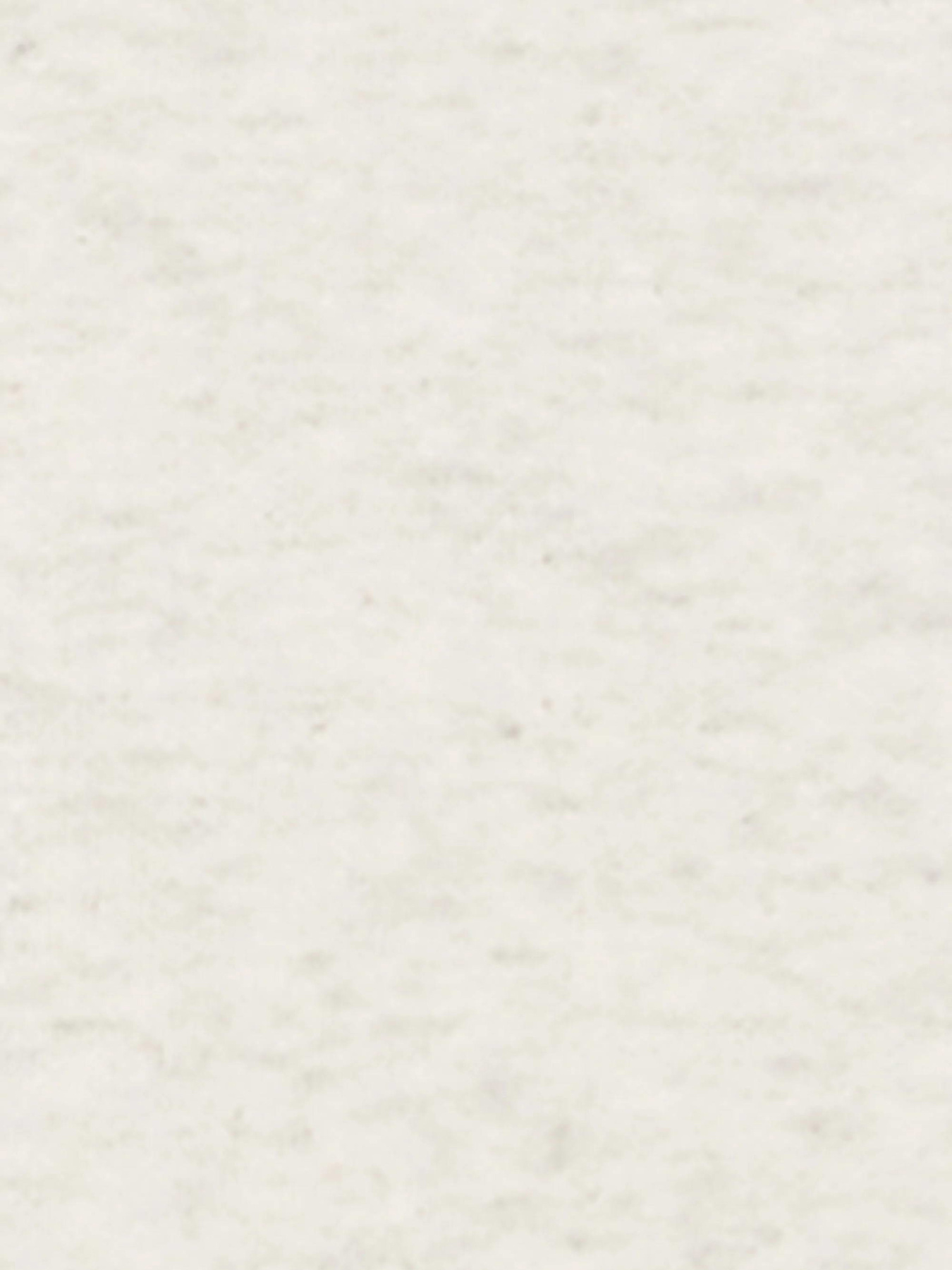 Худи и свитшоты Champion модель 118557-EM005 Фото