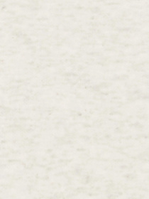 Худи и свитшоты Champion модель 118557-EM005 Фото