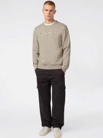 Champion модель 220784-ES035 Champion модель 220784-ES035 Фото