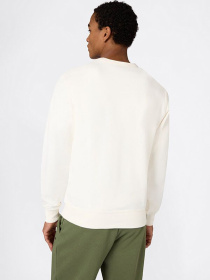 Champion модель 220785-YS084 Фото