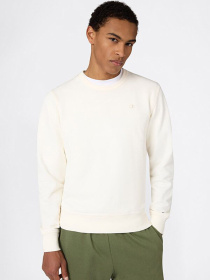 Champion модель 220785-YS084 Фото