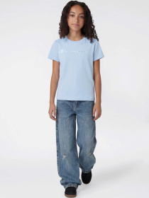 Футболки и поло Champion модель 405246-BS224 Фото