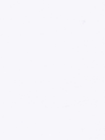 Футболки и поло Champion модель 405246-WW001 Фото