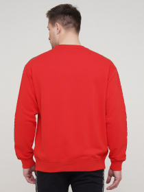 Кофта спортивная Champion модель cha214224-HRR Фото