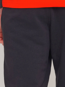 Повседневные шорты Champion модель cha214304-NBK Фото