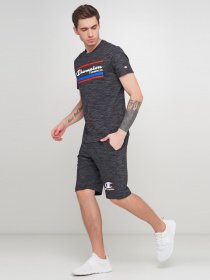 Футболки и поло Champion модель cha214306-SBWM Фото