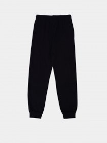 Спортивні штани Champion модель cha304938-NBK Фото