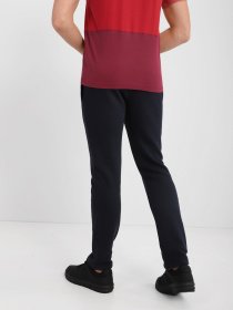 Спортивні штани Champion STRAIGHT HEM модель cha214954-NNY Фото