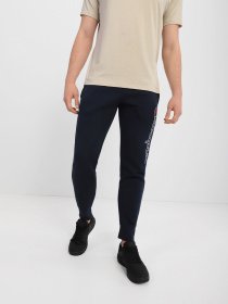 Штаны спортивные Champion RIB CUFF PANTS модель cha216472-NVB Фото