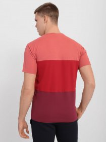 Футболка Champion STRIPE COLOUR BLOCK модель cha216589-RHD/HTR Фото