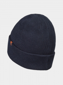 Шапка Camel Active модель 406520-2M52-47 Синій Фото